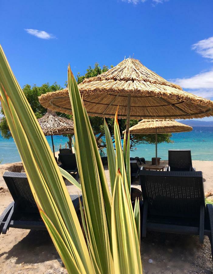 Sato Design Hotel (Adults Only) Çeşme Exteriér fotografie